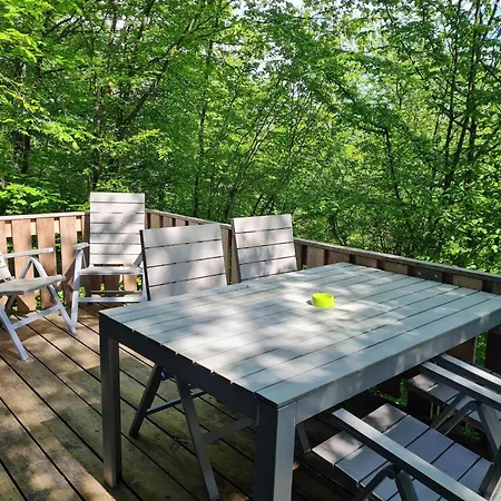 Peaceful Forest Near Durbuy *