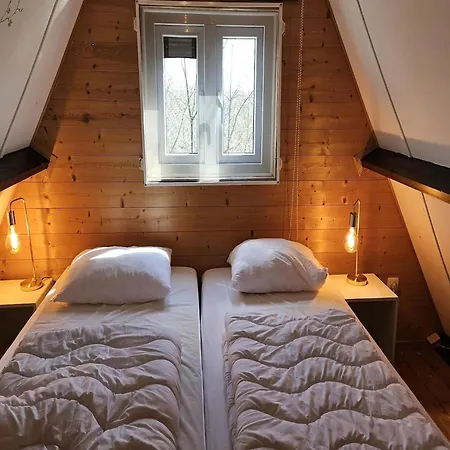 Peaceful Forest Near Durbuy Durbuy