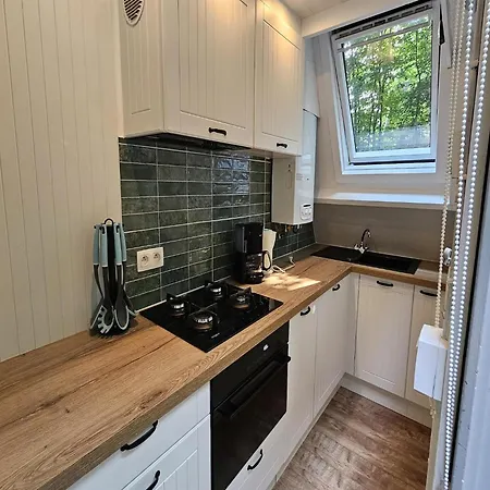 Peaceful Forest Near Durbuy * Durbuy