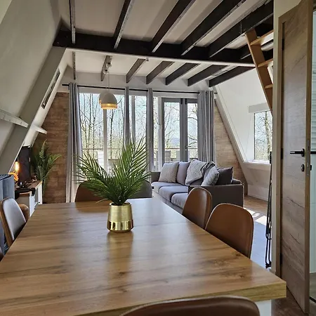 Peaceful Forest Near Durbuy *