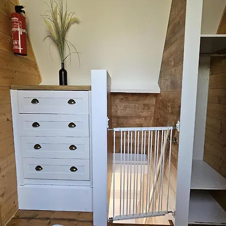 Peaceful Forest Near Durbuy