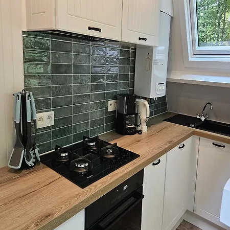 Peaceful Forest Near Durbuy Chalet