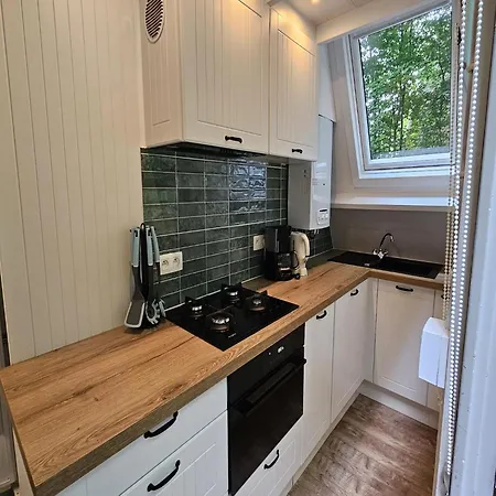 Peaceful Forest Near Durbuy Chalet