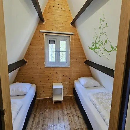 Peaceful Forest Near Durbuy *